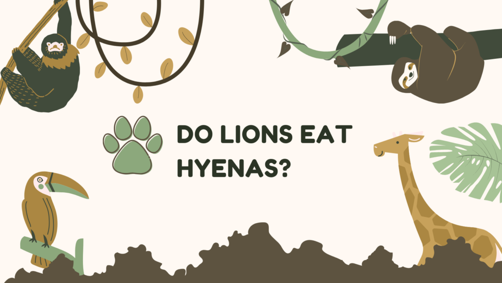 Do lions eat hyenas